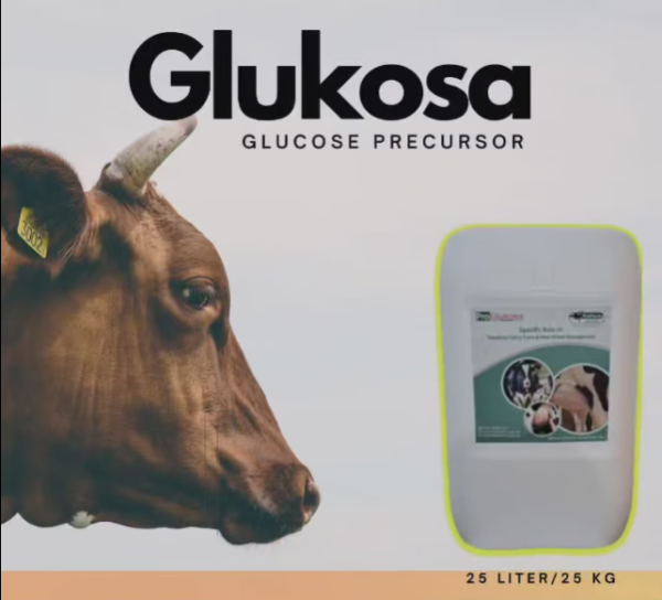 Dairy Gold GlucosA