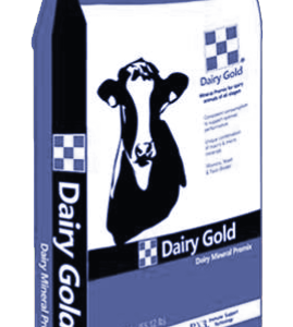 Dairy Gold Super